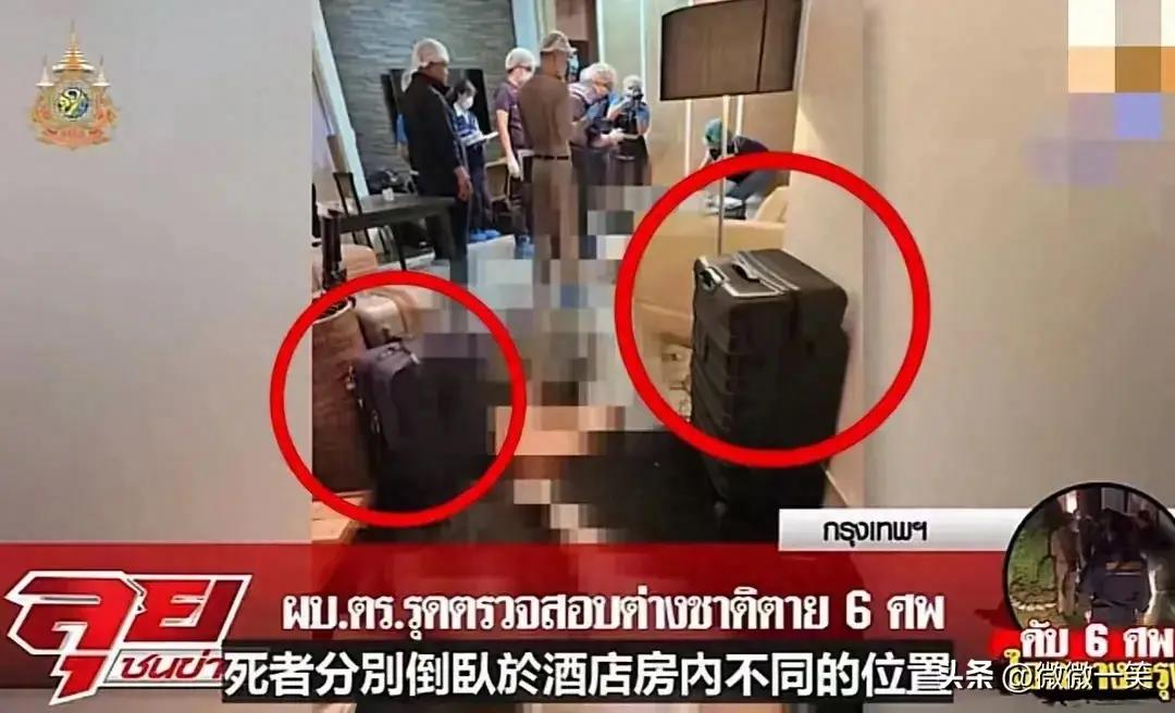 泰国最新信息概览，全面解读泰国最新动态
