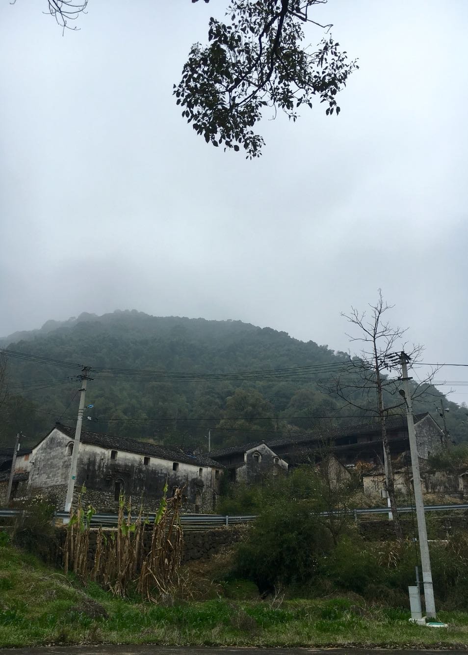 靳家坪村民委员会最新天气预报更新通知