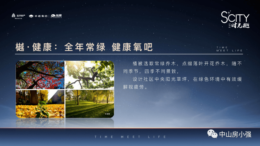 2025新澳门最精准免费大全,专业解析说明_RX版94.44