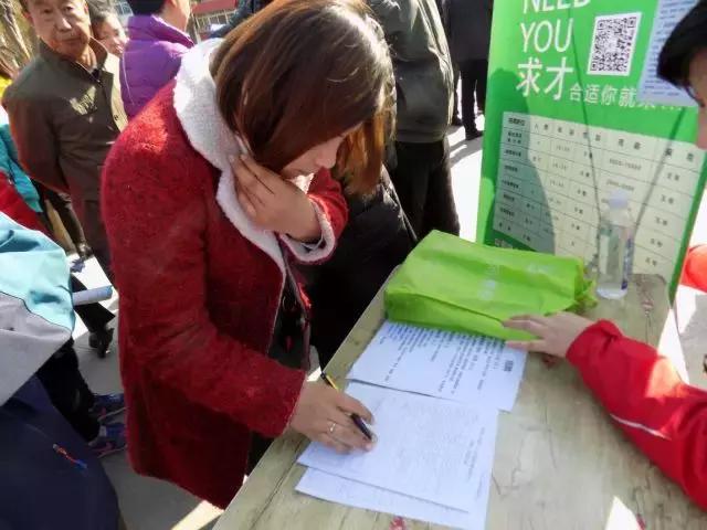 集贤县人民政府办公室最新招聘信息概览