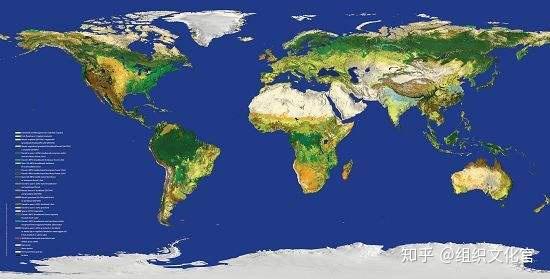 世界最新卫星地图揭示地球全新面貌
