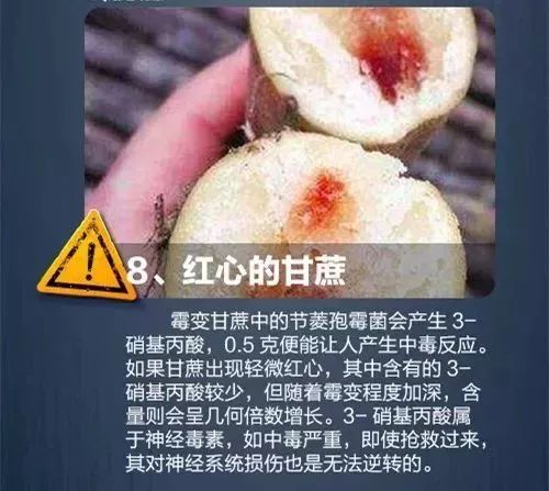 最新有毒食品揭秘，危害、成因与应对策略