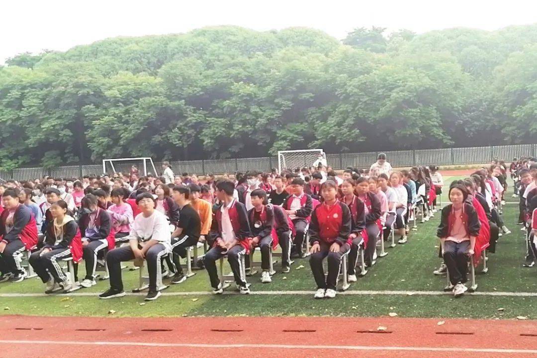 五通桥区殡葬事业单位最新项目探索与动态