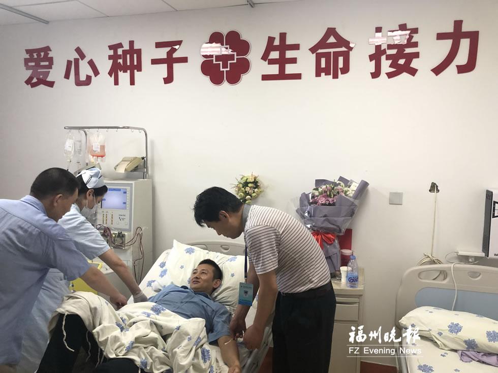 干细胞领域最新突破与前景展望，新闻报道综述