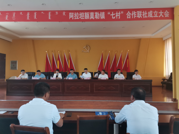 新巴尔虎右旗计划生育委员会领导团队最新调整，引领发展的领导力量