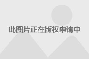 索纳塔八最新报价与市场深度解析