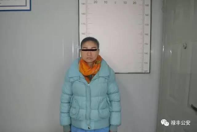 和平区公安局新任领导团队，核心力量引领未来警务发展之路