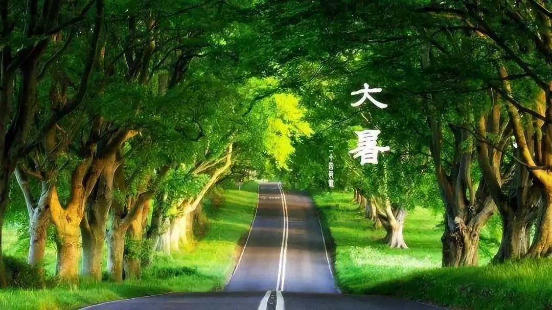 梧桐树村委会最新天气预报详解，天气信息及趋势分析