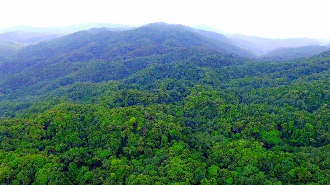 澜沧拉祜族自治县成人教育事业单位新任领导引领变革，铸就辉煌成就。