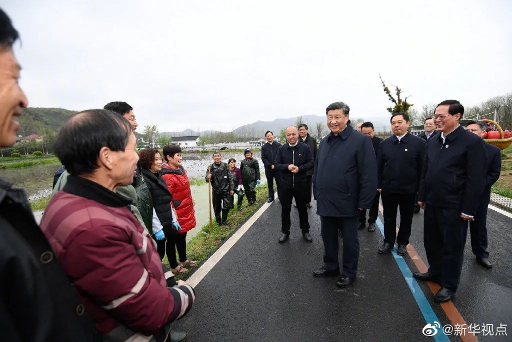 曹李原村委会最新新闻动态报道